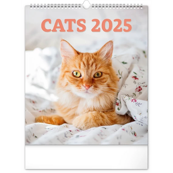 Falinaptár képes  300x340mm Cats Realsystem 2026.
