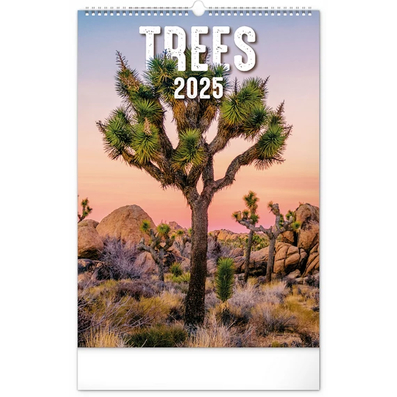Falinaptár képes  330×460mm Trees  Realsystem 2026.