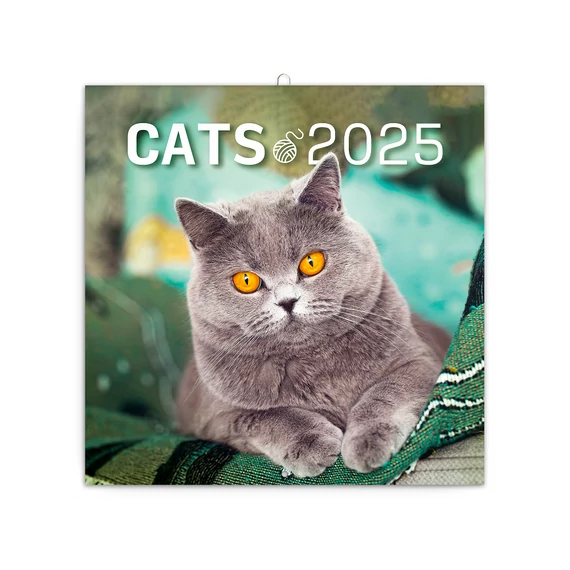 Falinaptár képes lemeznaptár 300x300mm, Cats Realsystem 2026.