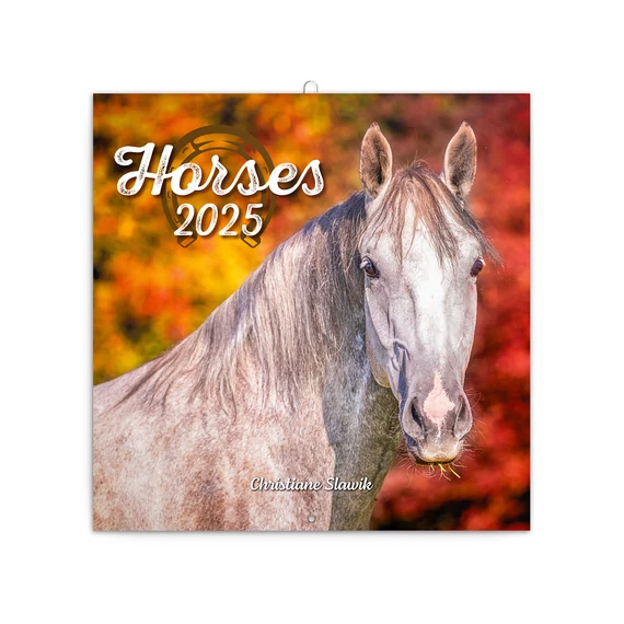Falinaptár képes lemeznaptár 300x300mm, Horses – Christiane Slawik Realsystem 2026.