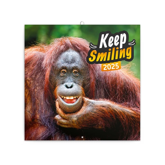 Falinaptár képes lemeznaptár 300x300mm, Keep Smiling Realsystem 2026.