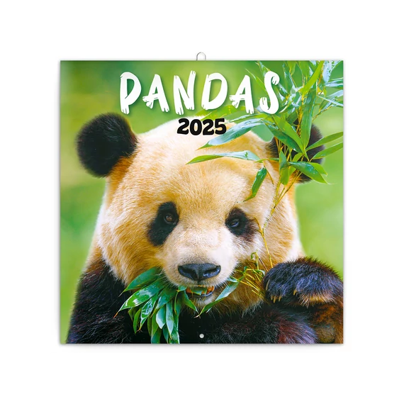 Falinaptár képes lemeznaptár 300x300mm, Pandas Realsystem 2026.