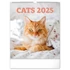 Kép 1/2 - Falinaptár képes  300x340mm Cats Realsystem 2026.