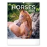 Kép 1/2 - Falinaptár képes  300x340mm Horses Realsystem 2026.