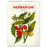 Kép 1/2 - Falinaptár képes  330×460mm Vintage Posters-Herbarium Realsystem 2026.