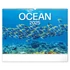 Kép 1/2 - Falinaptár képes  480×330mm Ocean Wildlife Realsystem 2026.
