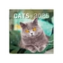 Kép 1/2 - Falinaptár képes lemeznaptár 300x300mm, Cats Realsystem 2026.