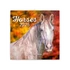 Kép 1/2 - Falinaptár képes lemeznaptár 300x300mm, Horses – Christiane Slawik Realsystem 2026.