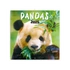 Kép 1/2 - Falinaptár képes lemeznaptár 300x300mm, Pandas Realsystem 2026.